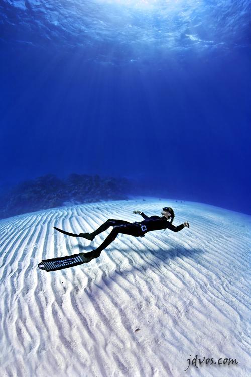 Underwater Photography by Jacques de Vos
