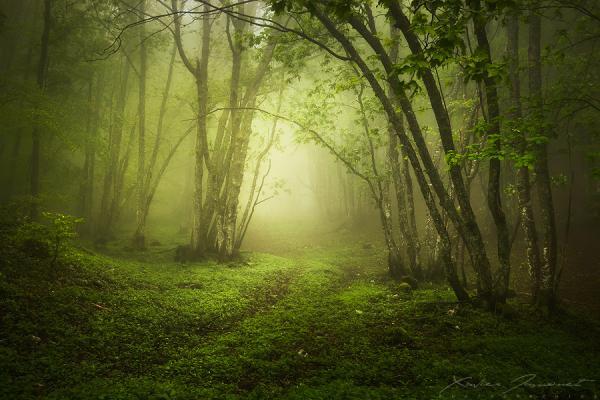 Landscape Photography by Xavier Jamonet