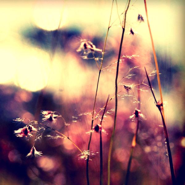 Photography by Beata Czyzowska Young