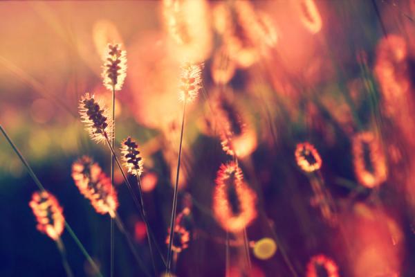 Photography by Beata Czyzowska Young