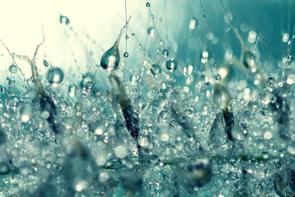Photography by Beata Czyzowska Young