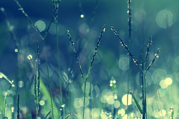 Photography by Beata Czyzowska Young