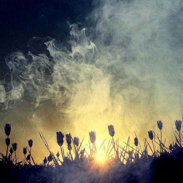 Photography by Beata Czyzowska Young