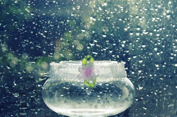 Photography by Beata Czyzowska Young
