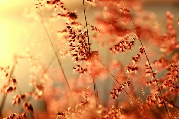 Photography by Beata Czyzowska Young
