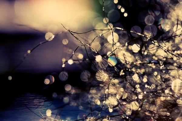 Photography by Beata Czyzowska Young