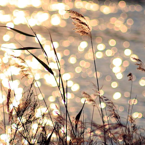 Photography by Beata Czyzowska Young