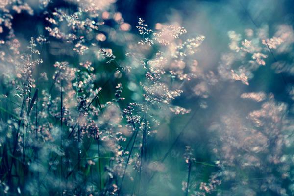 Photography by Beata Czyzowska Young
