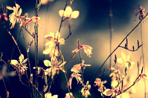 Photography by Beata Czyzowska Young