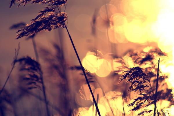 Photography by Beata Czyzowska Young