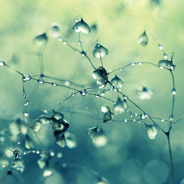 Photography by Beata Czyzowska Young
