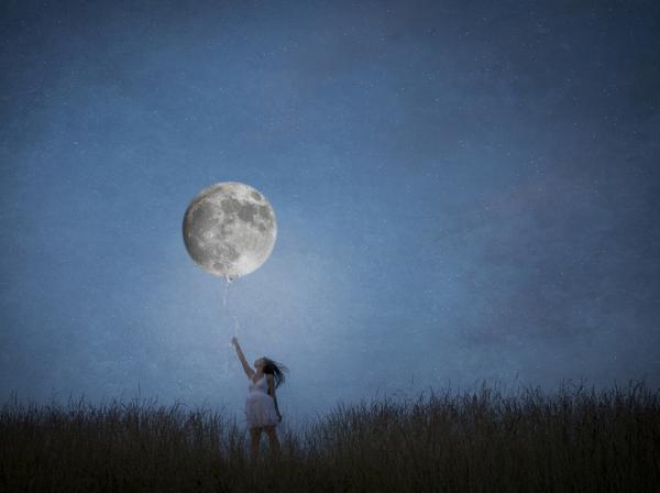 Photography by Amelia Fletcher