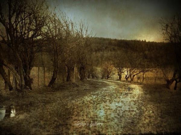 Landscape Photography by Alicja Rodzik