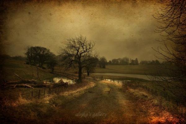 Landscape Photography by Alicja Rodzik