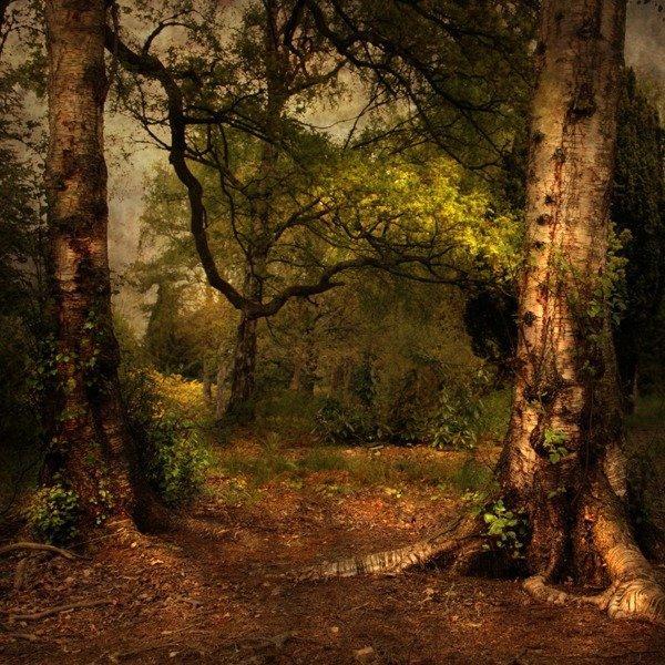 Landscape Photography by Alicja Rodzik
