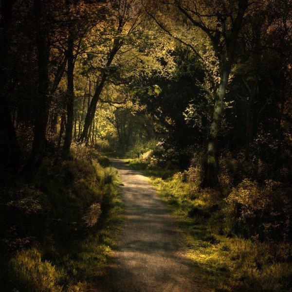 Landscape Photography by Alicja Rodzik