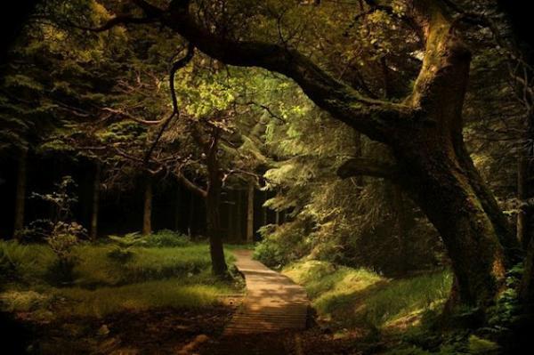Landscape Photography by Alicja Rodzik