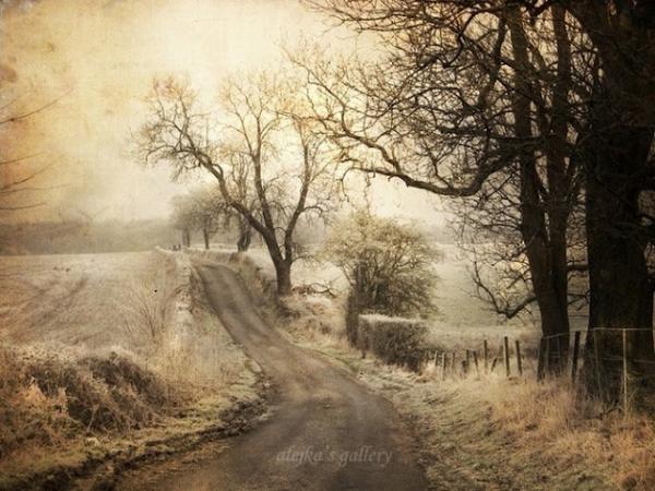 Landscape Photography by Alicja Rodzik