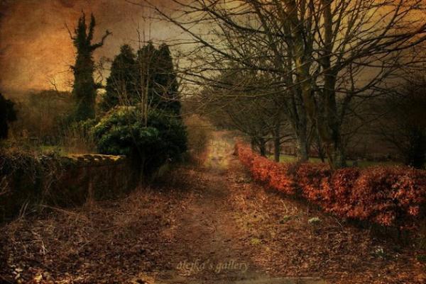 Landscape Photography by Alicja Rodzik