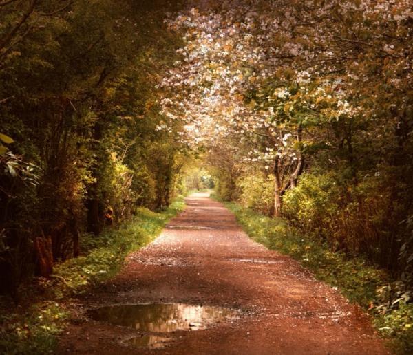 Landscape Photography by Alicja Rodzik