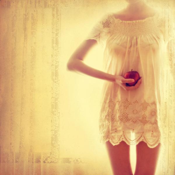 Amazing Photography by Vanessa Ho