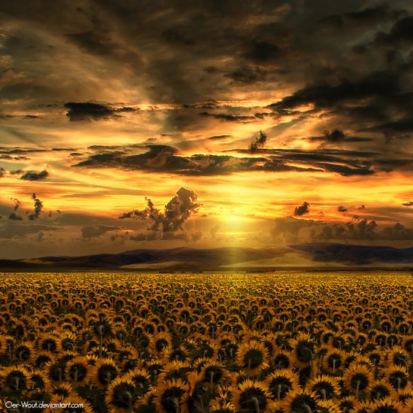 Landscape Photography by Oer Wout