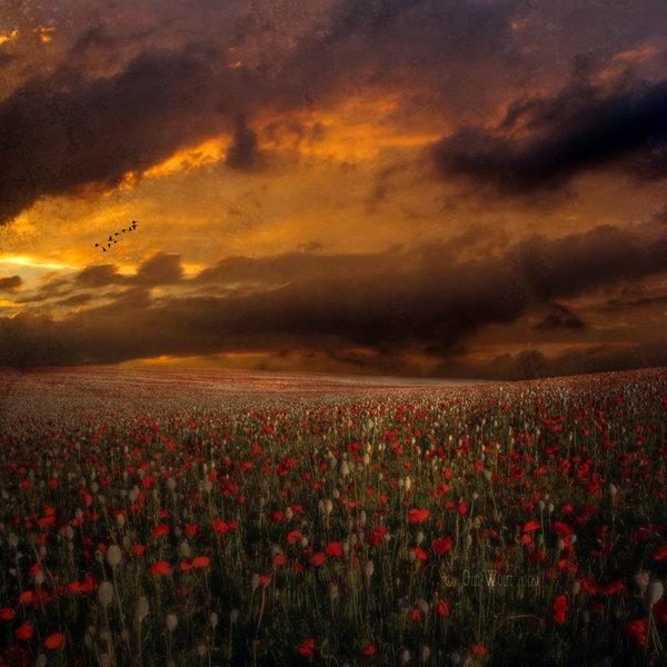 Landscape Photography by Oer Wout