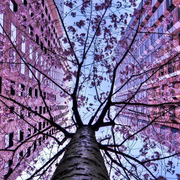 Landscape Photography by Ali Ertürk