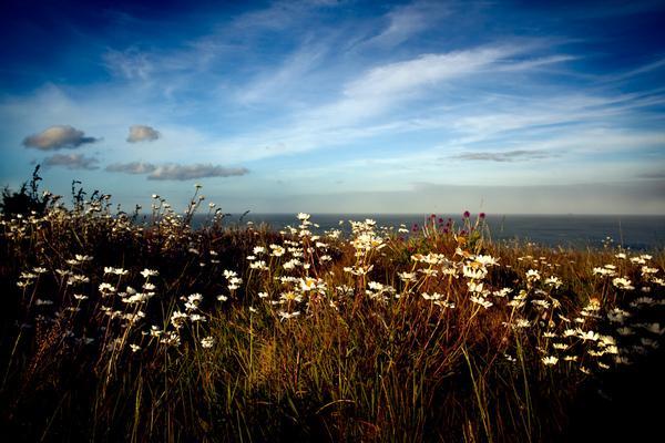 Landscape Photography by Kim Aldis