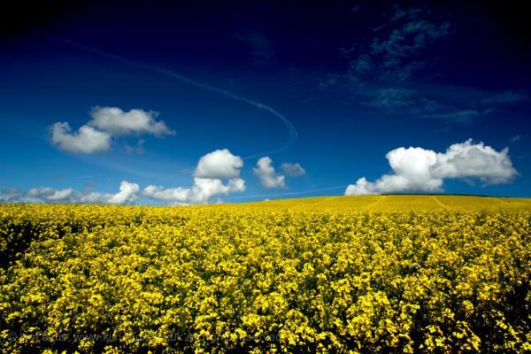Landscape Photography by Kim Aldis