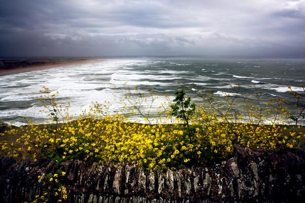 Landscape Photography by Kim Aldis
