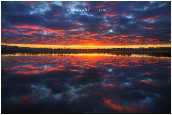 Landscape Photography by Marianne Lim &amp; Dylan TohResidence