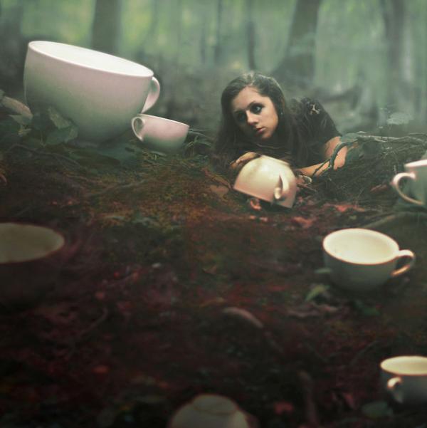 Photography by Nicholas Scarpinato