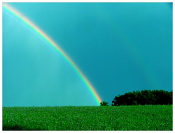 Photography by Jean Francois