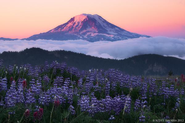 Landscape Photography by Scott Smorra