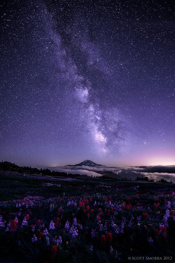 Landscape Photography by Scott Smorra