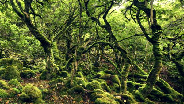 Landscape Photography by Kilian Schoenberger