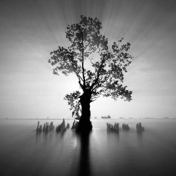 Landscape Photography by Jose Hamra