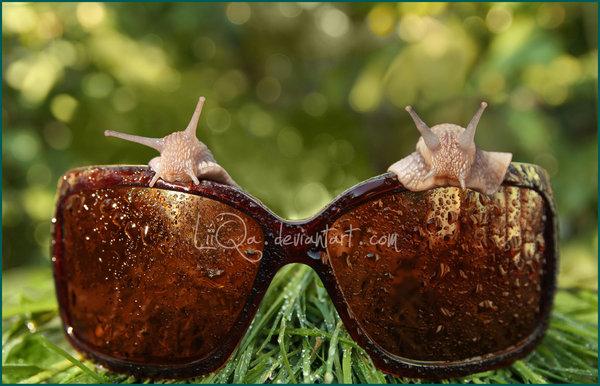 Creative Photography by Lilia Antoniu