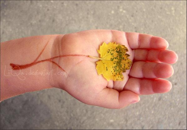 Creative Photography by Lilia Antoniu