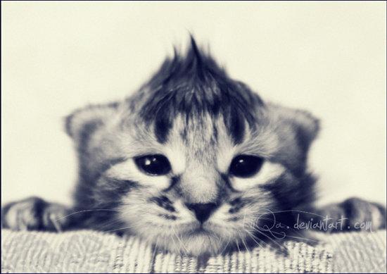 Creative Photography by Lilia Antoniu