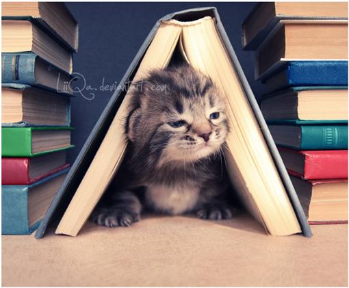 Creative Photography by Lilia Antoniu