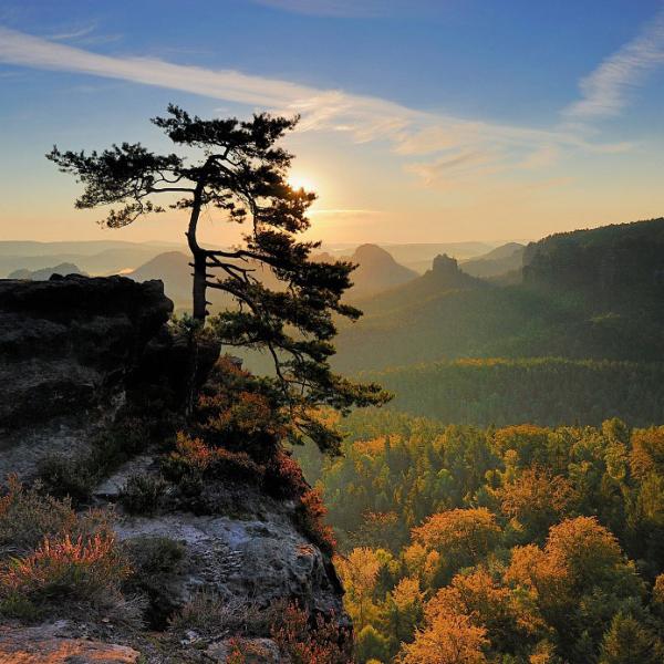 Forrest Photography by Tomas Morkes