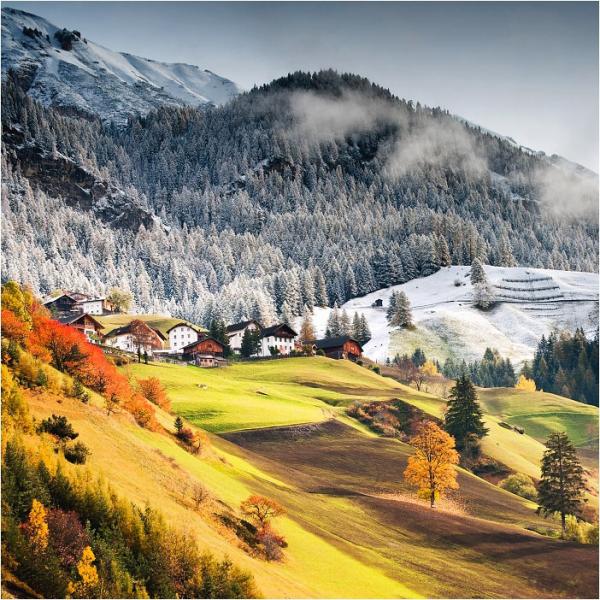 Forrest Photography by Tomas Morkes