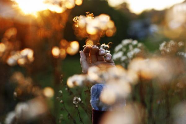 Photography by Rona Keller