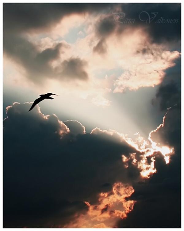 Landscape Photography by Päivi Valkonen