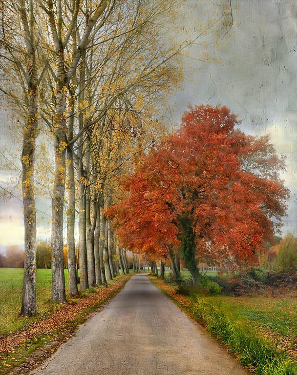 HDR Photography by Jean-Michel Priaux