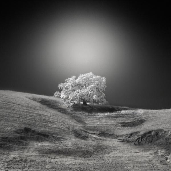 Black and White Photography by Nathan Wirth