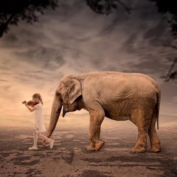 Photography by Caras Ionut