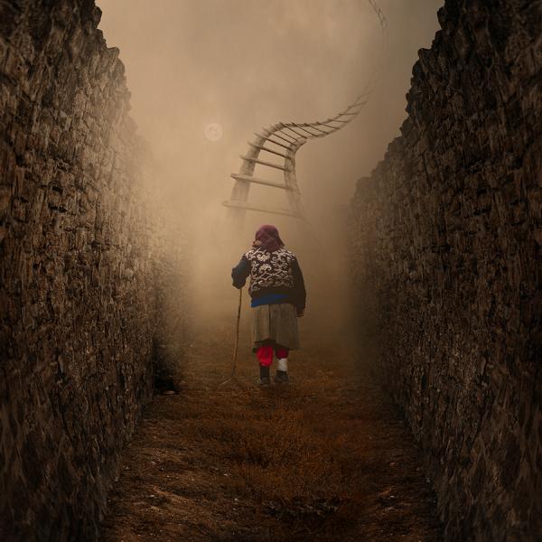 Photography by Caras Ionut